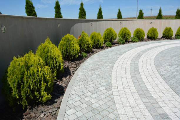 Best Residential Paver Driveway  in Tishomingo, OK